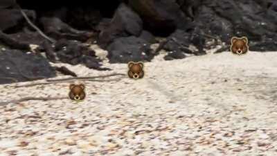 Die große Schlacht unserer Zeit