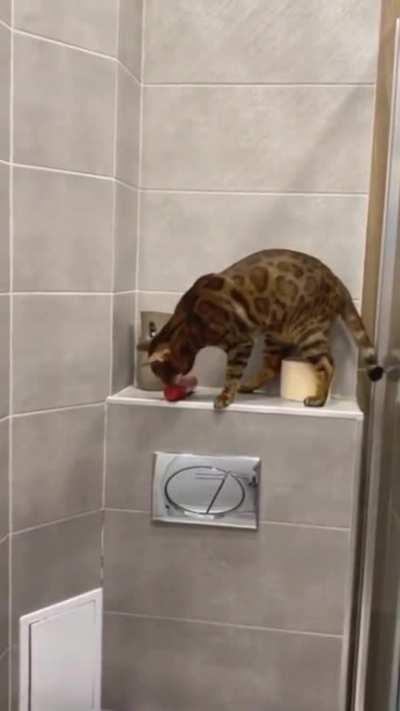 Guess what happened to him after that?