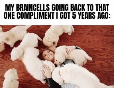 They like being there...