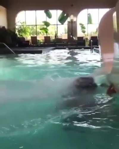 When you play chicken