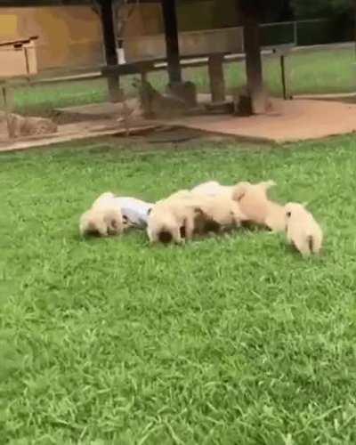 Rare footage of heaven