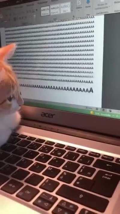 He speaks our language