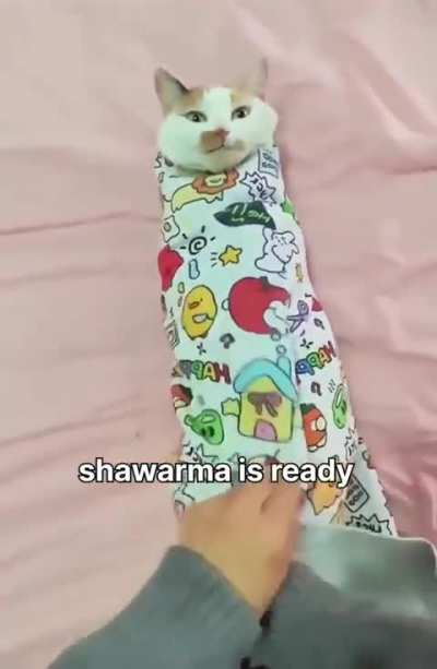 Losercity shawarma