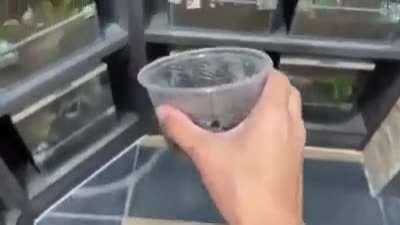 DylanteroYT - Video #1974