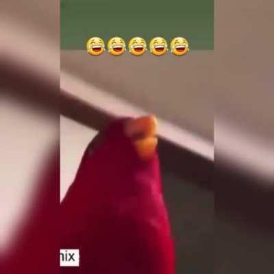 ع کیودی پای بهمن اینجا چیکار میکنه ؟ 😂 صدارو کم کنید وتاپ هم بکنید خیلی سمه😂😂😂 ساخت خودم