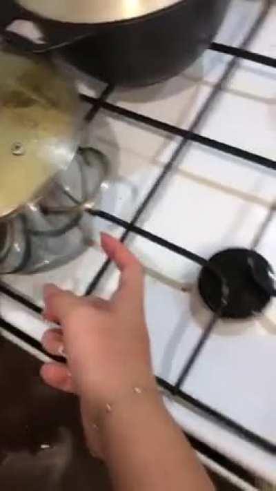 Husky puppy only reacts to the sound of his food bowl