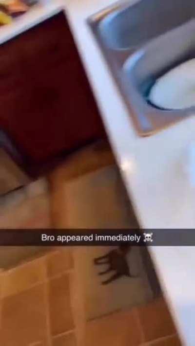 sabe quem gosta de waffles?