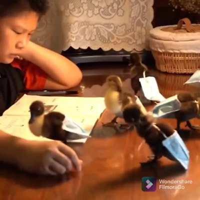 Hurry up with the homeworks, we're waiting!