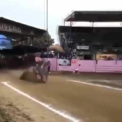 Революционная тормозная система лошади😅