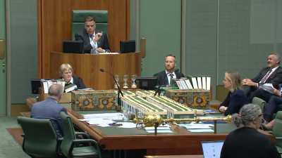 Bob Katter asks Albo to arm NRL players with rifles to hunt feral pigs in the jungle during the off season