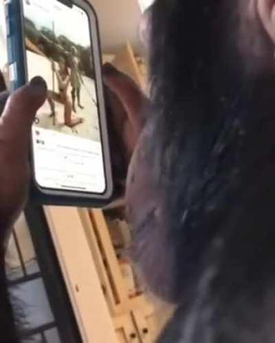 ape using a smartphone