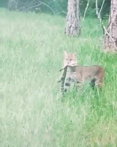 Just a normal day in Florida