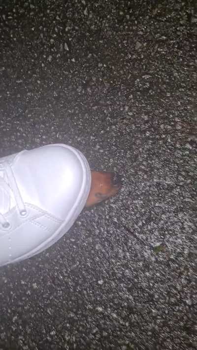 Slug crush in my sneakers 