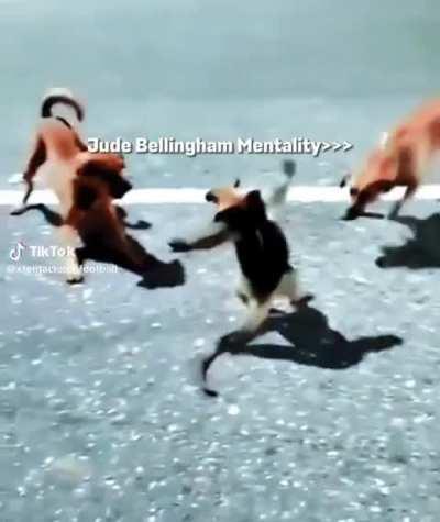 Title for post in r/soccercirclejerk