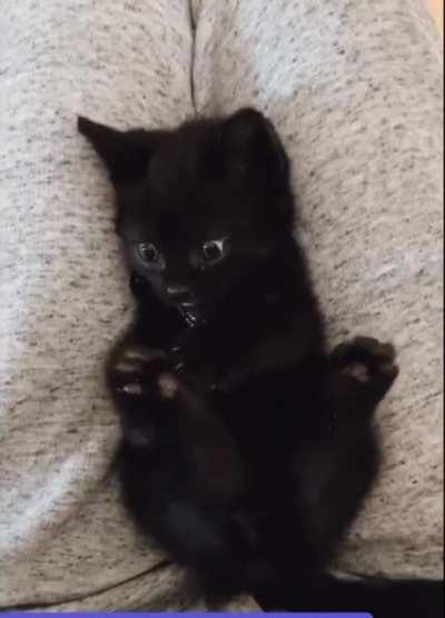 There’s a foot? There’s another foot? What?