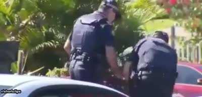 Karen hitting a cop with dog poo