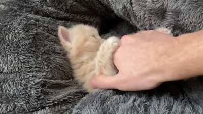 This criminal tried to escape, here is his sentence.