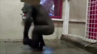 Some pre-squeeze hype for you gentlemen.