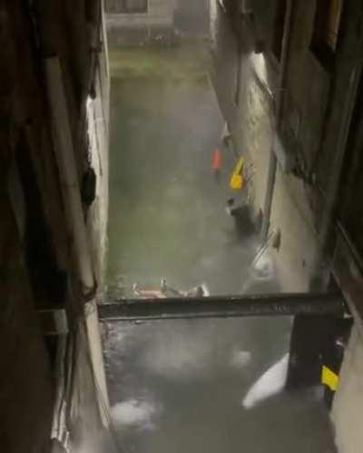 This dude just straight up chilling in the NYC floods