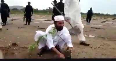 Since no one shared this. Elders and more sensible people from the tribe replanted the trees that people had destroyed in the morning yday.