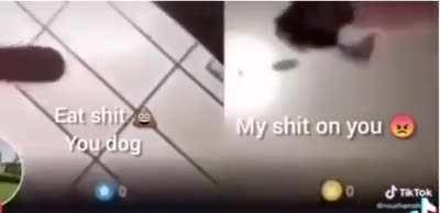 Most respectful Middle Eastern intellectual discussion