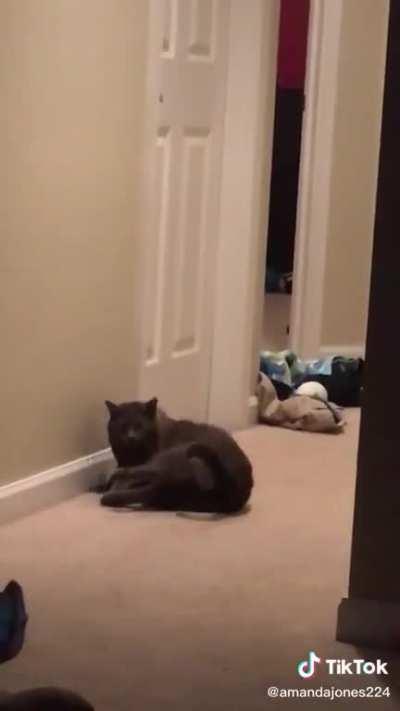 I miss my life before I saw this