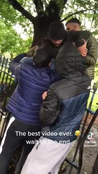 Trying to get your boy to jump over the fence.