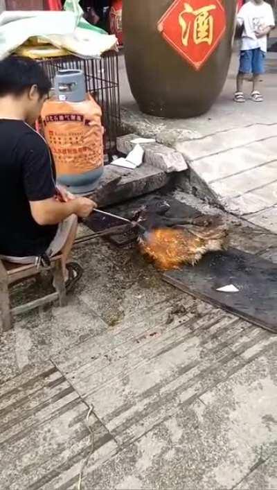 dog torched alive by a piece of shit