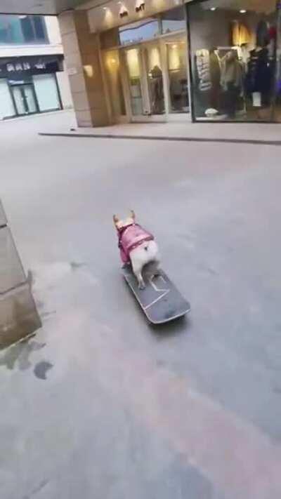 This video of a mad lad just skating around town made me smile!