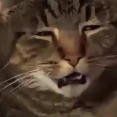 MFW the bilateral headache finally hits after 3 days of prodrome and aura