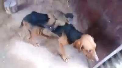 Muca chegando na churras dos cria!