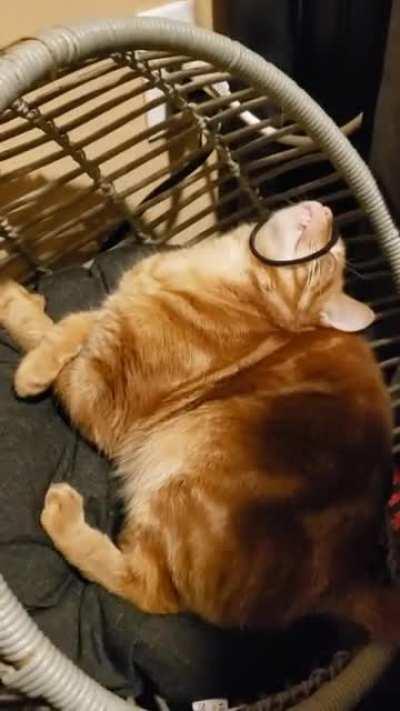 To get the hairtie off his face