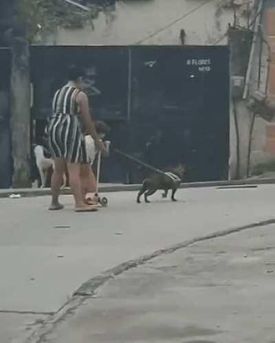 my KGB sources tell me the dog was a secret agent.