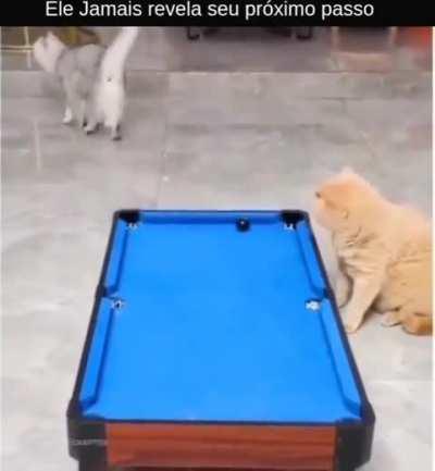 You'll never know his next move