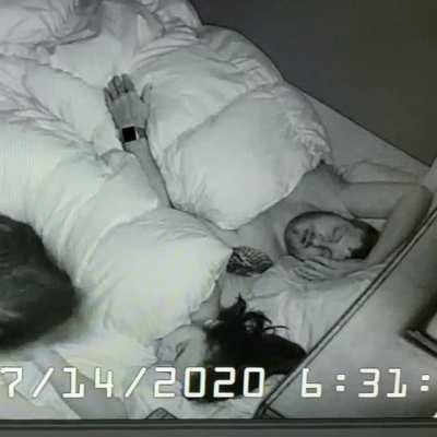 6:30am greeble invasion