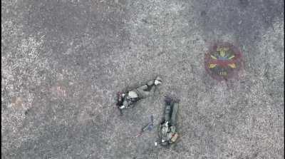 Little drone that could. Slava ЗСУ! 💙💛 NSFW