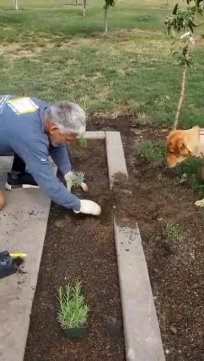 The new coworker trying too hard to impress.