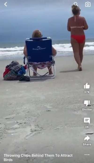 Karen on Karen crime