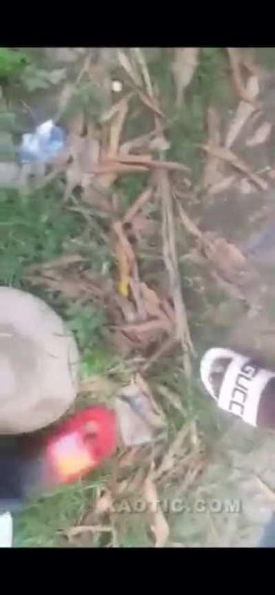 HMFT after I’m knocked unconscious because of a failed voodoo ritual.