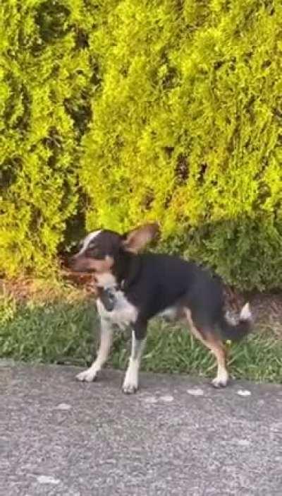 Buster has been BUSTED!