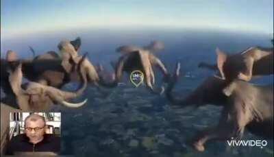 This is not a joke.. he really said this! YES HE DID!