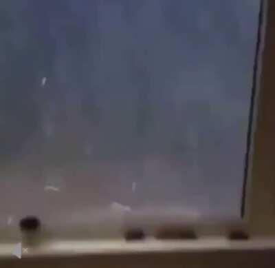 just a normal storm in Canada