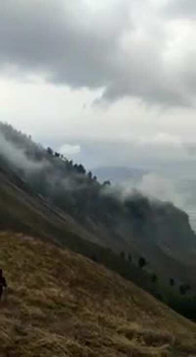 Paths few trod. Kashmir in the Indian Himalayas .