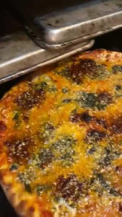 Lamb bolognese, creamed chard, fresh + aged mozz, pecorino!