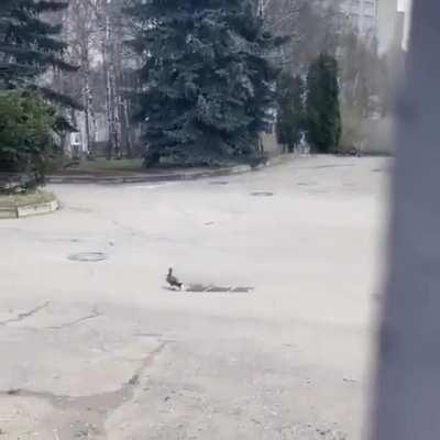 I guess it looked like fun down there