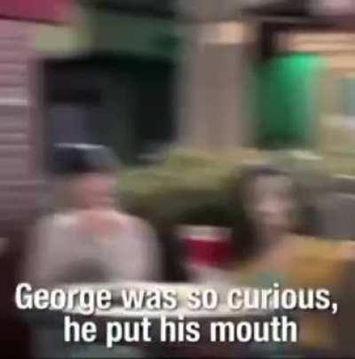 That's quite different from what I remember