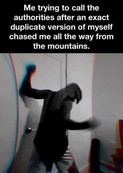 the twin i never wanted