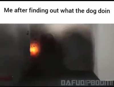 he was doing [REDACTED]