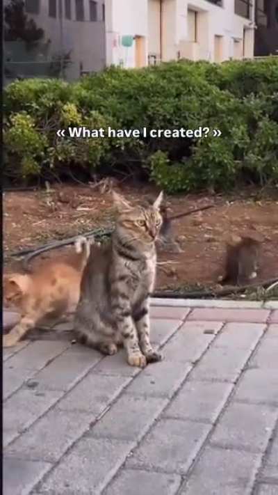 “What have I created?”😭