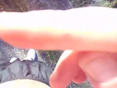 You mess with the bull(snake) you get the...